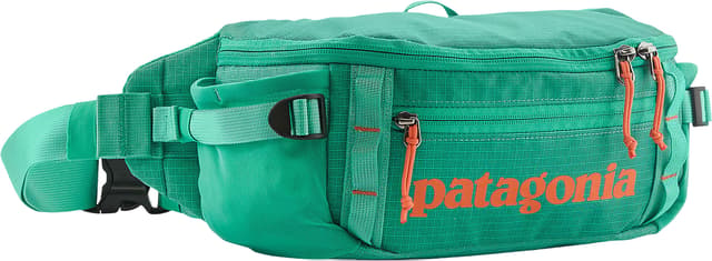 Patagonia Black Hole Waist Pack 5L - Unisex | Altitude Sports
