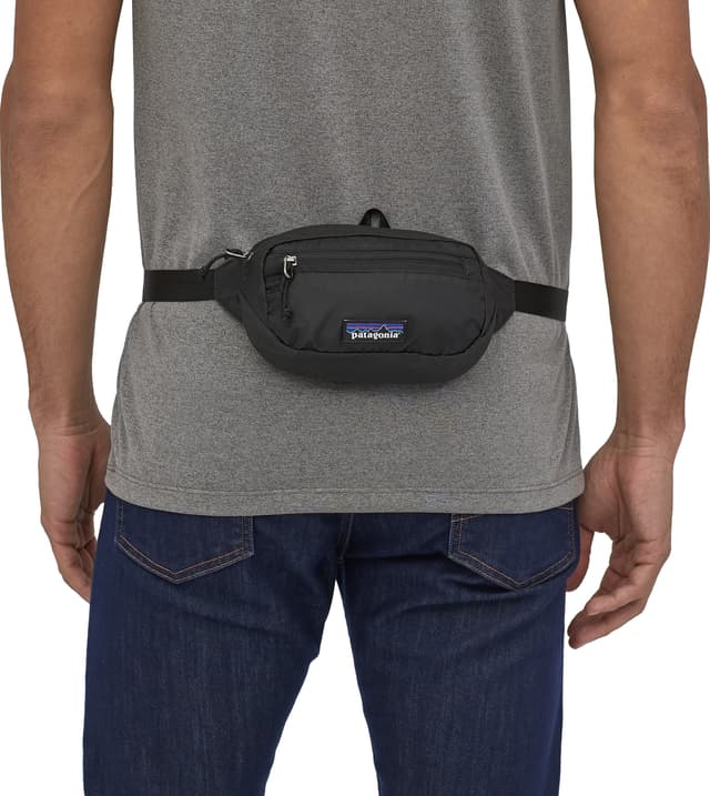 Patagonia Ultralight Black Hole Mini Hip Pack 1L | Altitude Sports