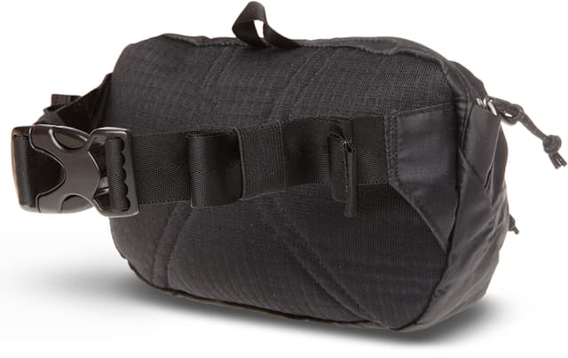 Patagonia Ultralight Black Hole Mini Hip Pack 1L | Altitude Sports