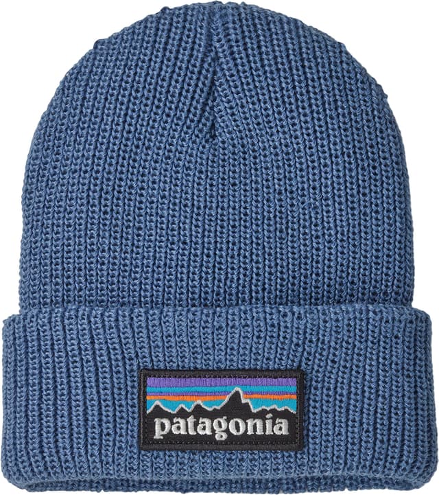 Patagonia Micro D Beanie | Altitude Sports