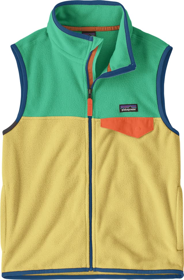 Patagonia Micro D Snap-T Fleece Vest - Kids | Altitude Sports