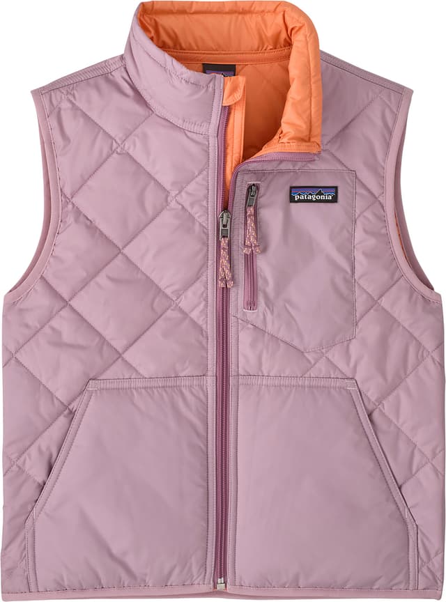 Patagonia Micro D Snap-T Fleece Vest - Kids | Altitude Sports