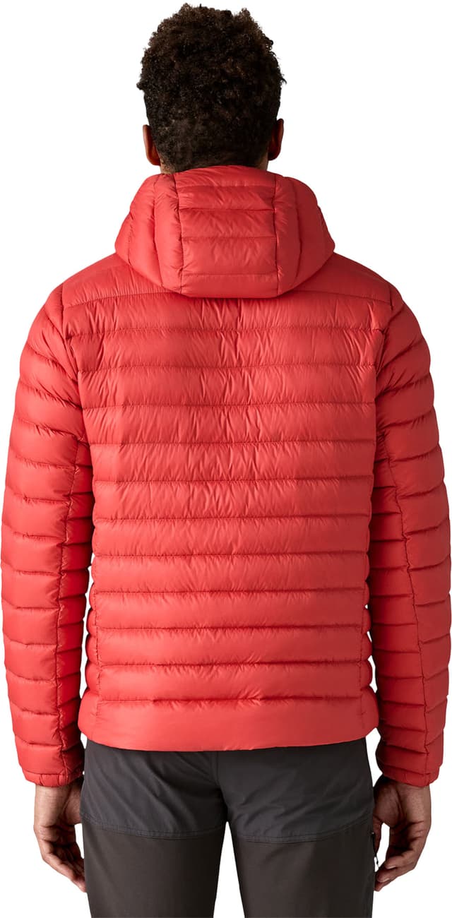 Patagonia Down Sweater Hoody - Men's | The Last Hunt