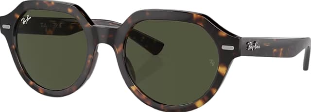 Ray-Ban Gina Sunglasses - Unisex | Altitude Sports