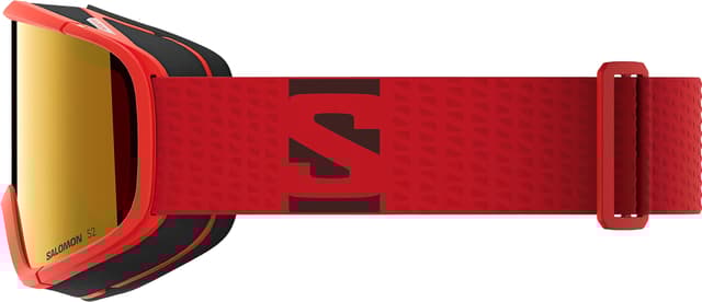 Salomon Aksium 2.0 Goggles | Altitude Sports