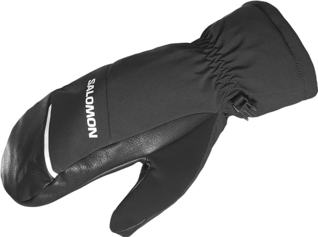 Salomon QST PAW GORE-TEX Gloves | Altitude Sports