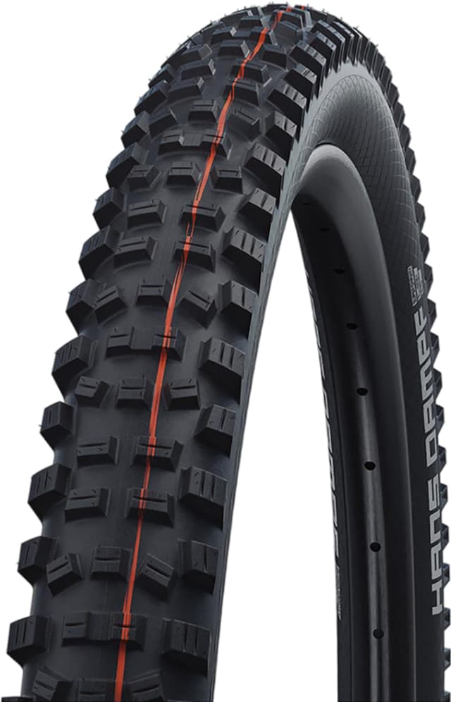 Betty''s Schwalbe Big Betty MTB Tire 29''x2.40 | Altitude Sports