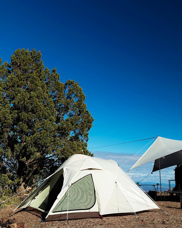  peak Alpha Breeze ファミリーテント Snow Peak Alpha Breeze Tent 4-Person | Altitude Sports