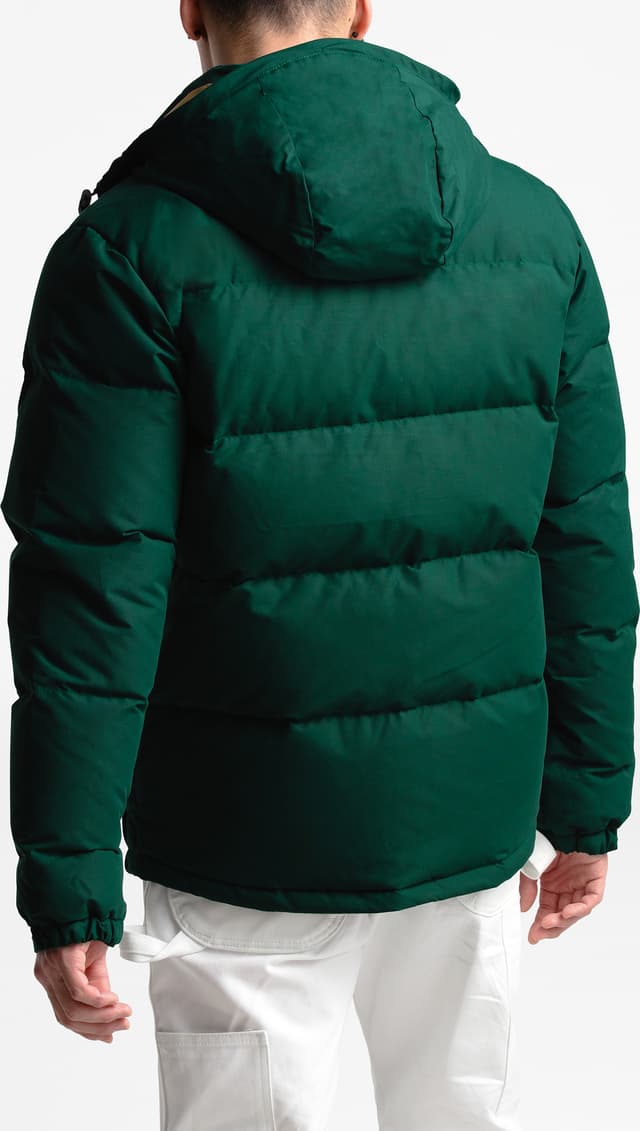 The North Face Down Sierra 3.0 Jacket - Men's | Altitude Sports