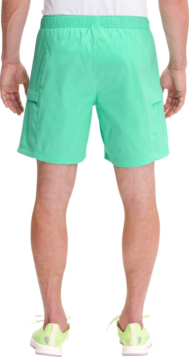 【新品】THE NORTH FACE Class V Belted M The North Face Men's Class V Belted Shorts | SportChek