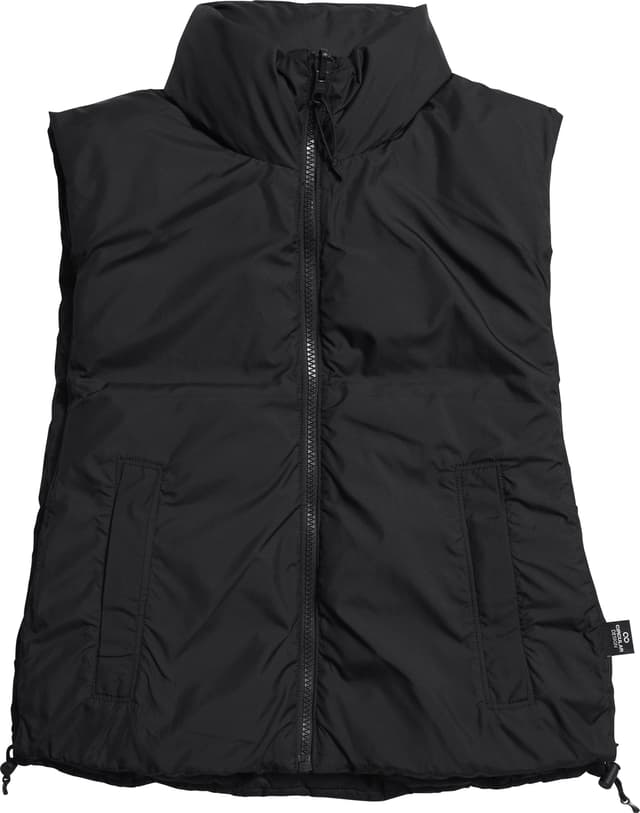 THE NORTH FACE Free Run Reversible Vest The North Face Lhotse Reversible Vest - Women's | The Last Hunt