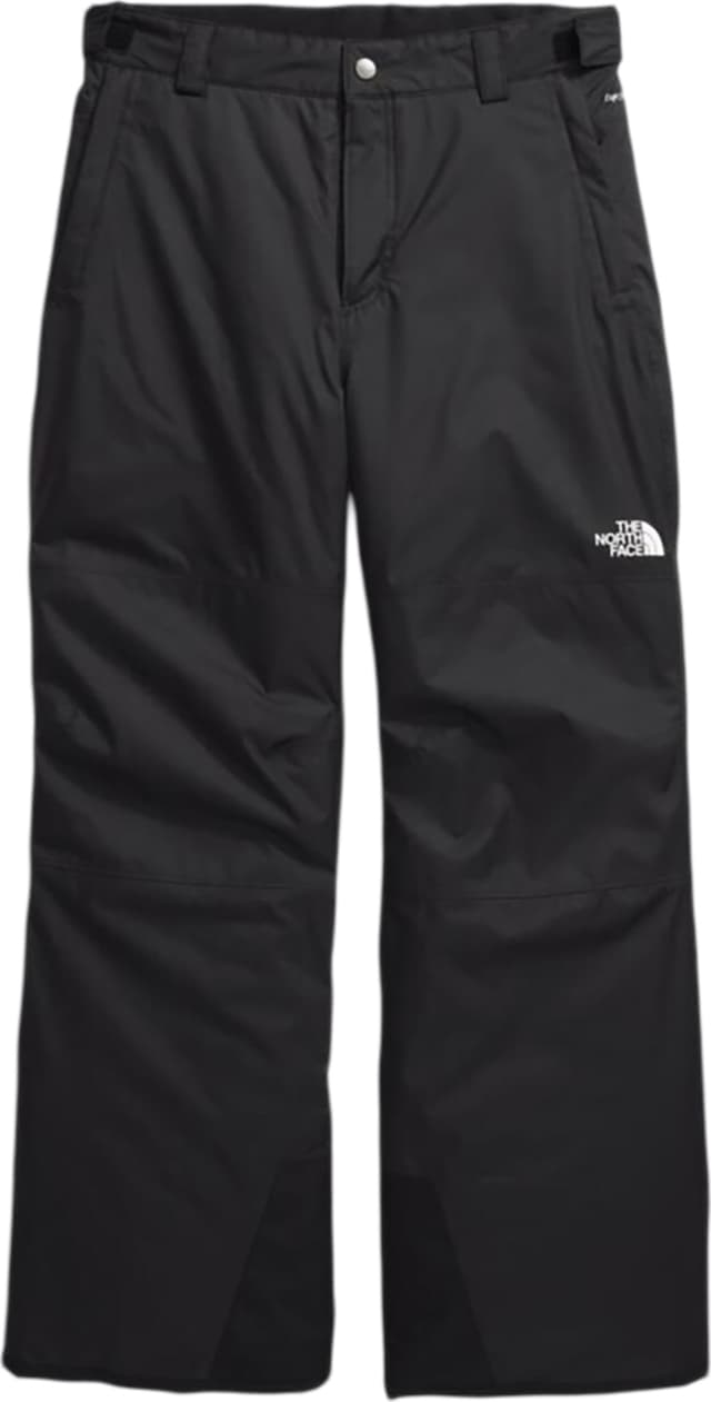 The North Face Freedom Insulated Pants - Boys | Altitude Sports