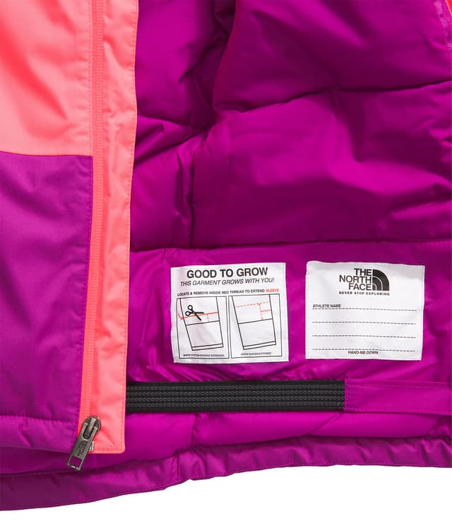 The North Face Freedom Insulated Jacket - Kids | Altitude Sports