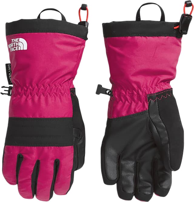 The North Face Montana Pro GORE-TEX Mittens - Men's | The Last Hunt
