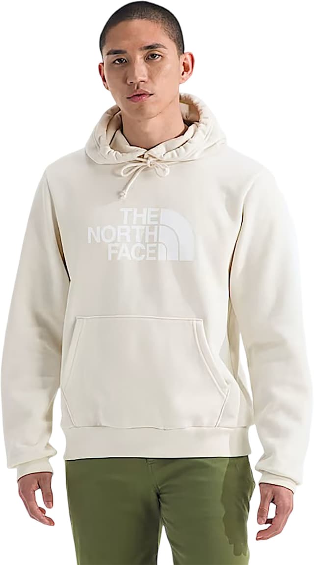 The North Face Evolution Half Dome Hoodie - Men's | Altitude Sports