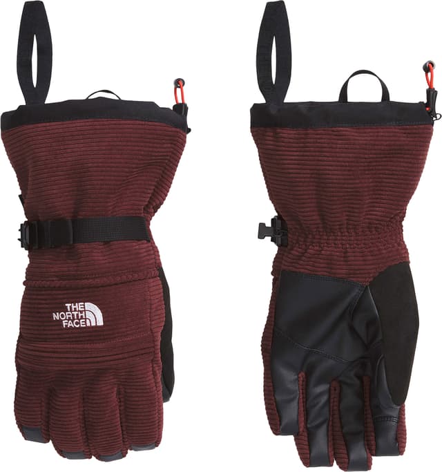 The North Face Montana Pro GORE-TEX Mittens - Men's | The Last Hunt